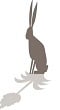Jackrabbit Spa 